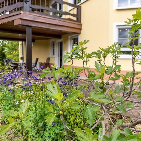 Ferienwohnung Alexandra Rheinfelden  Esterno foto